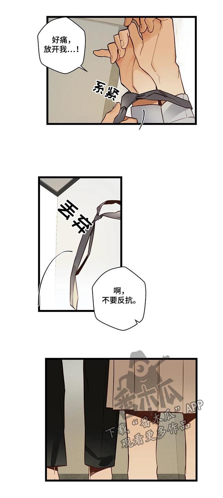 不专漫画,第70章：有没有话说3图