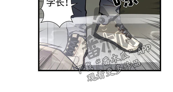 不专漫画,第41章：一个一个去了解4图