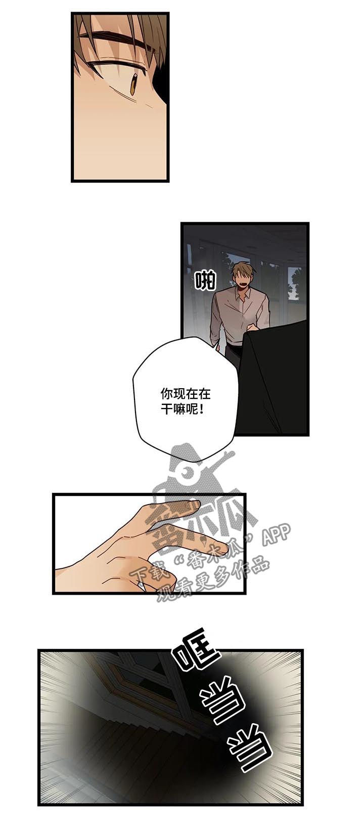 不专漫画,第72章：你疯了吗3图