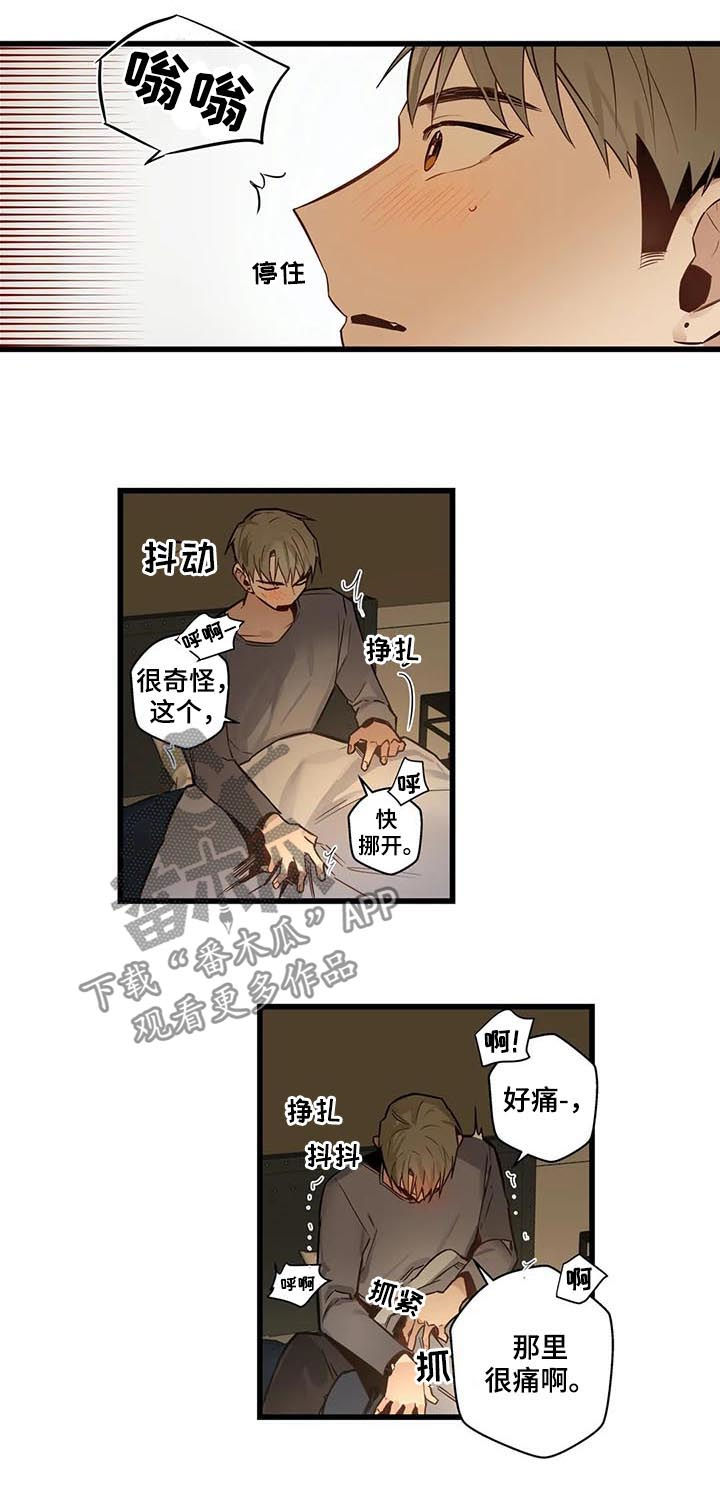 不专漫画,第62章：是这个吗？1图