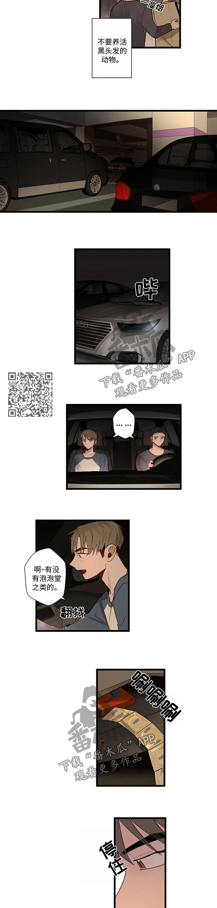 不专漫画,第48章：为什么会这样4图