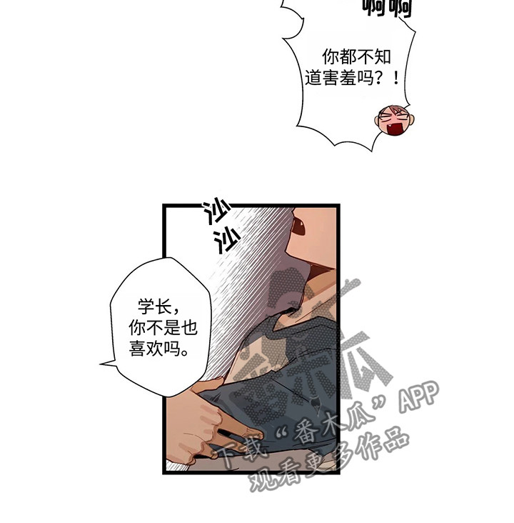 不专漫画,第47章：再下一步3图