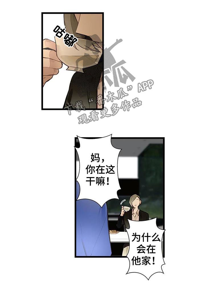 不专漫画,第60章：家人4图