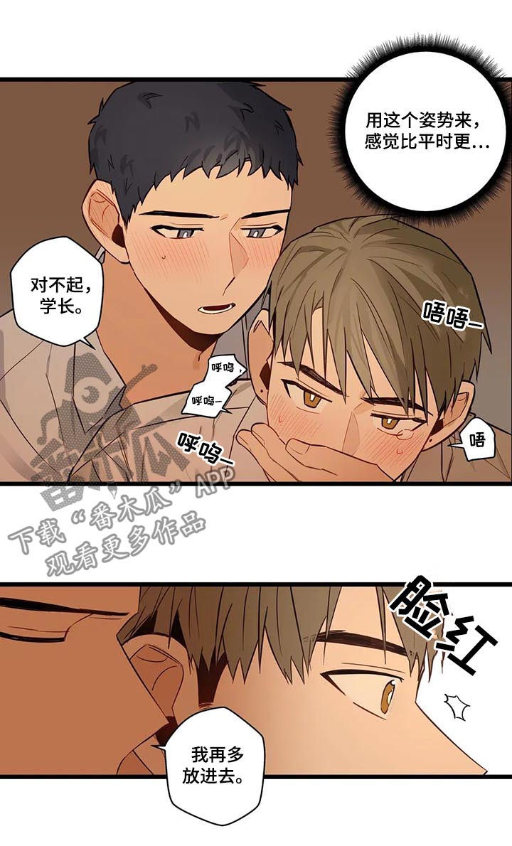 不专漫画,第75章：怕你痛1图