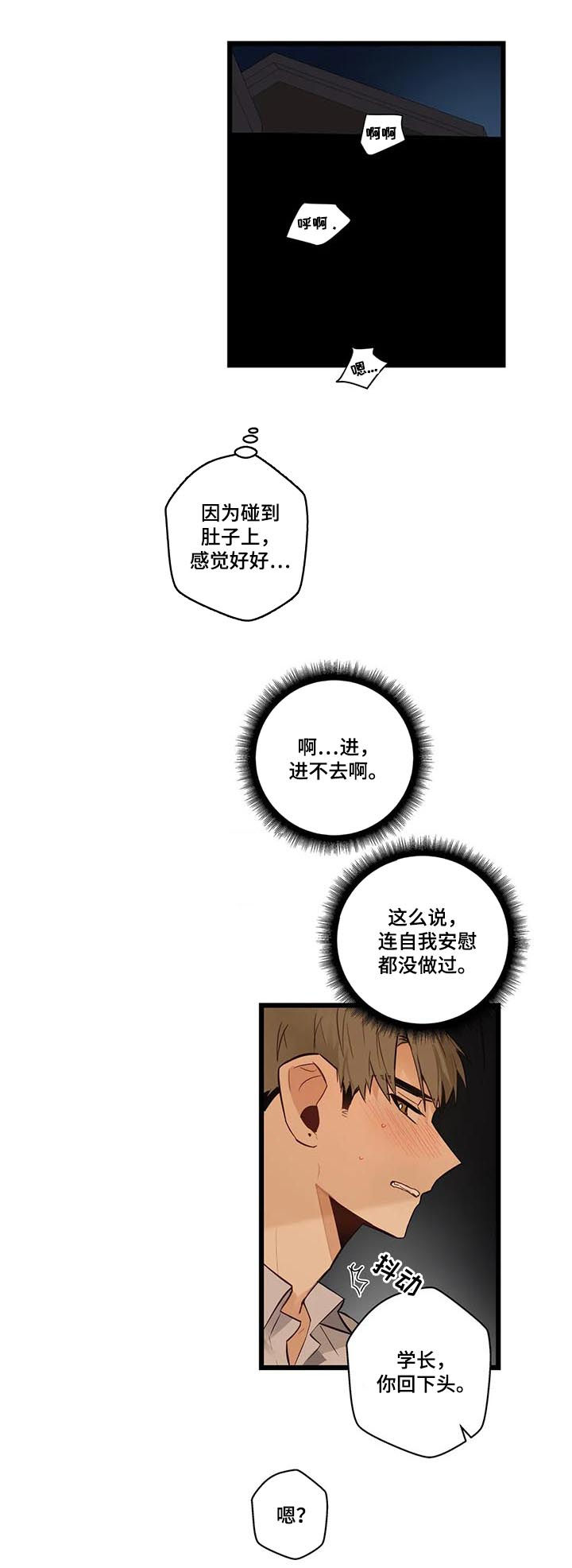 不专漫画,第75章：怕你痛4图
