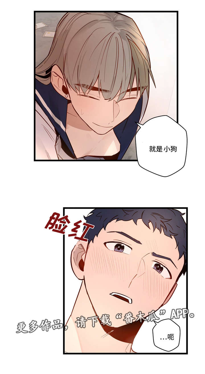 不专漫画,第32章：我的作用1图