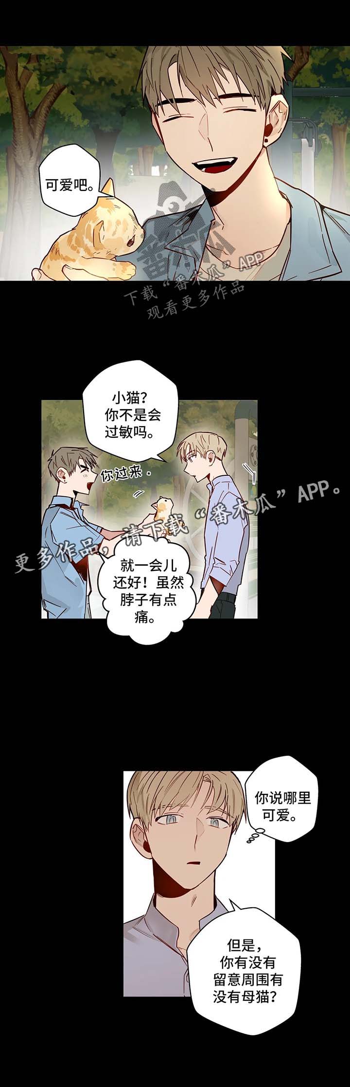 不专漫画,第35章：欺骗5图