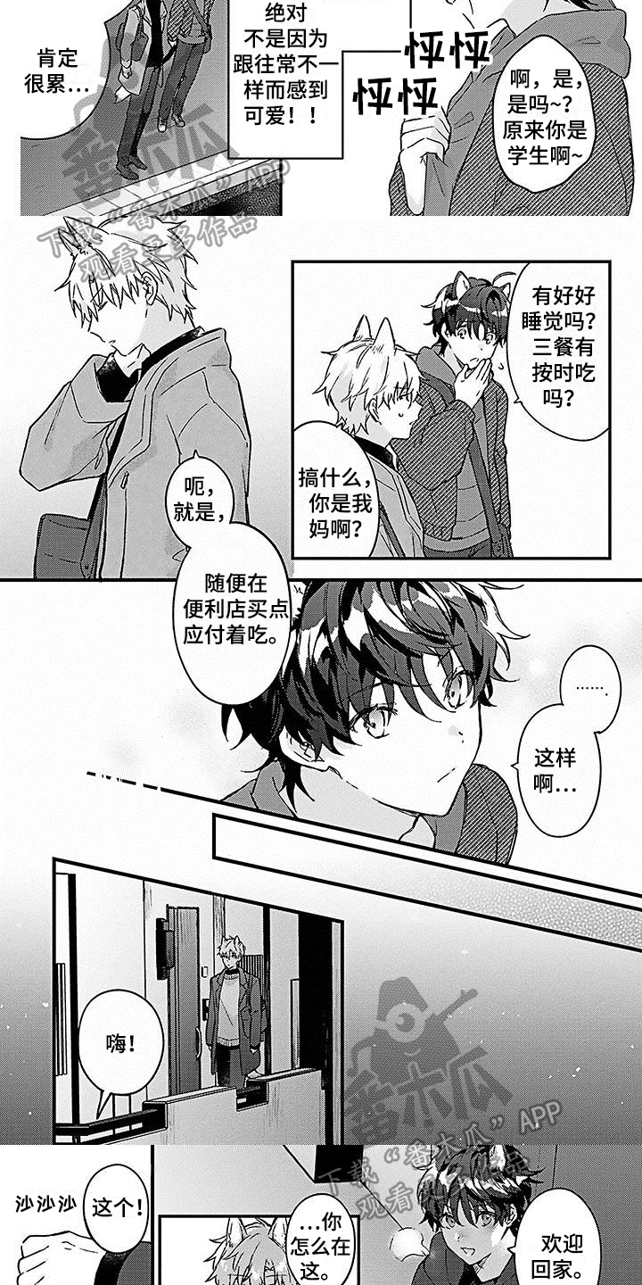 猫会梦见王子吗漫画,第10章：照顾3图
