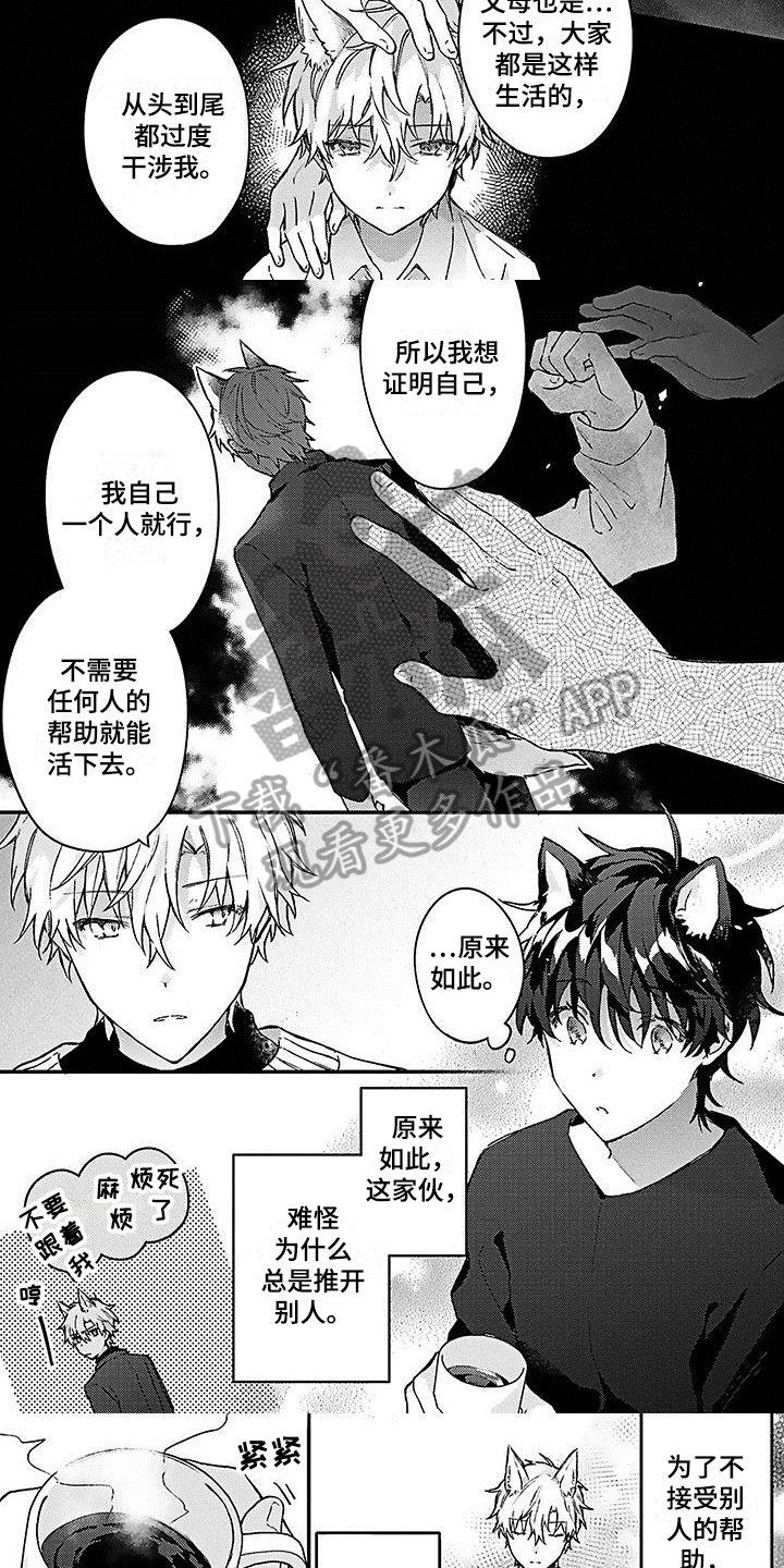 猫猫做梦会梦到主人吗漫画,第11章：心动3图