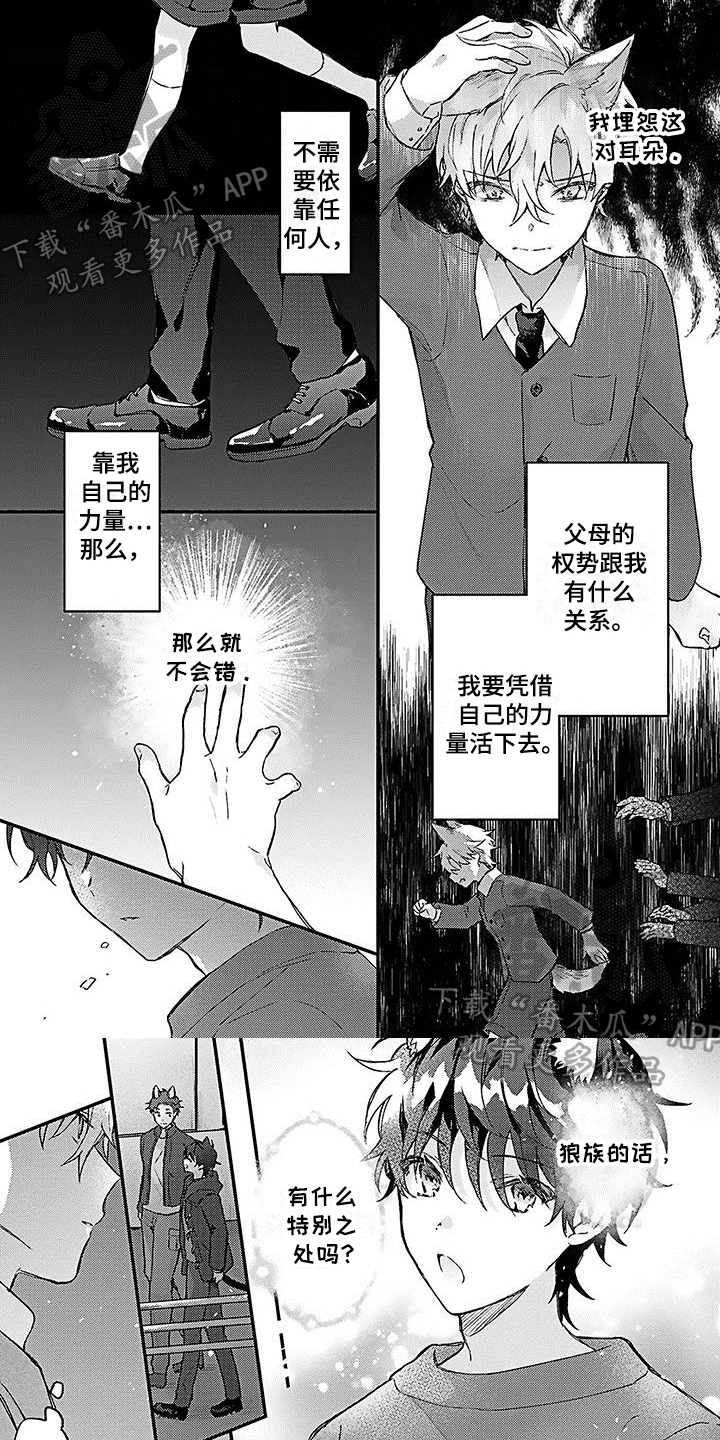 猫猫做梦会梦到主人吗漫画,第14章：误会1图