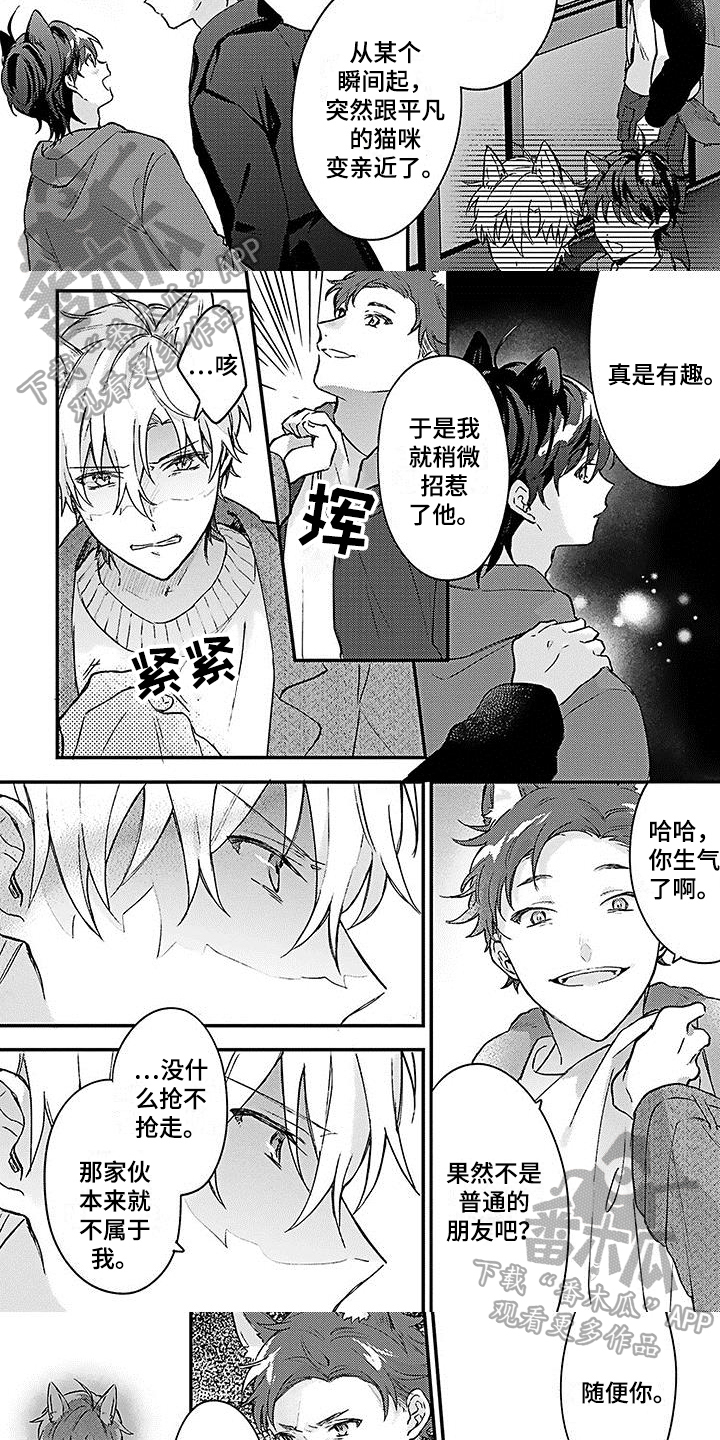 猫猫做梦会梦到主人吗漫画,第17章：弱小3图