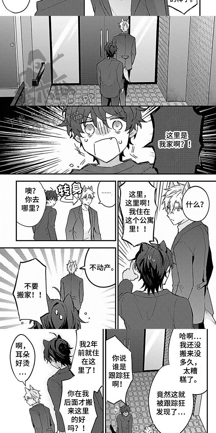 猫咪会梦到自己的孩子吗漫画,第8章：朋友5图