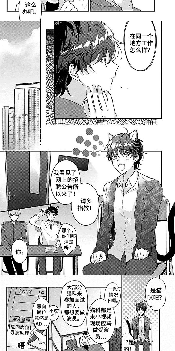 猫咪会梦到自己的孩子吗漫画,第1章：应聘1图