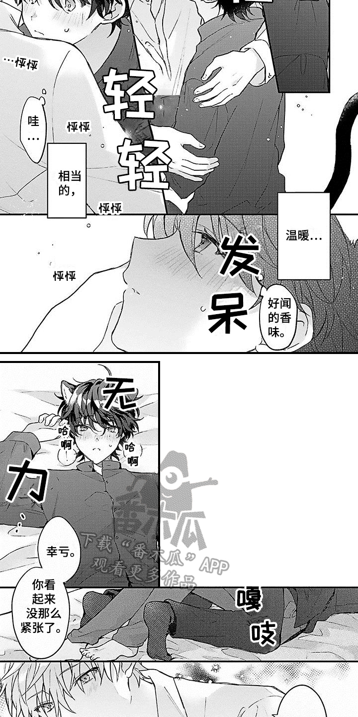 猫咪做梦会梦见我吗漫画,第5章：安定3图