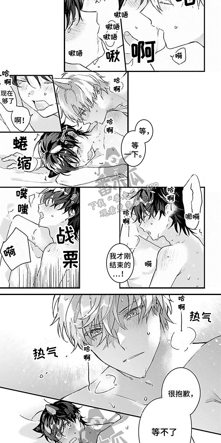 猫会梦见王子吗漫画,第20章：幸福觉悟【完结】3图