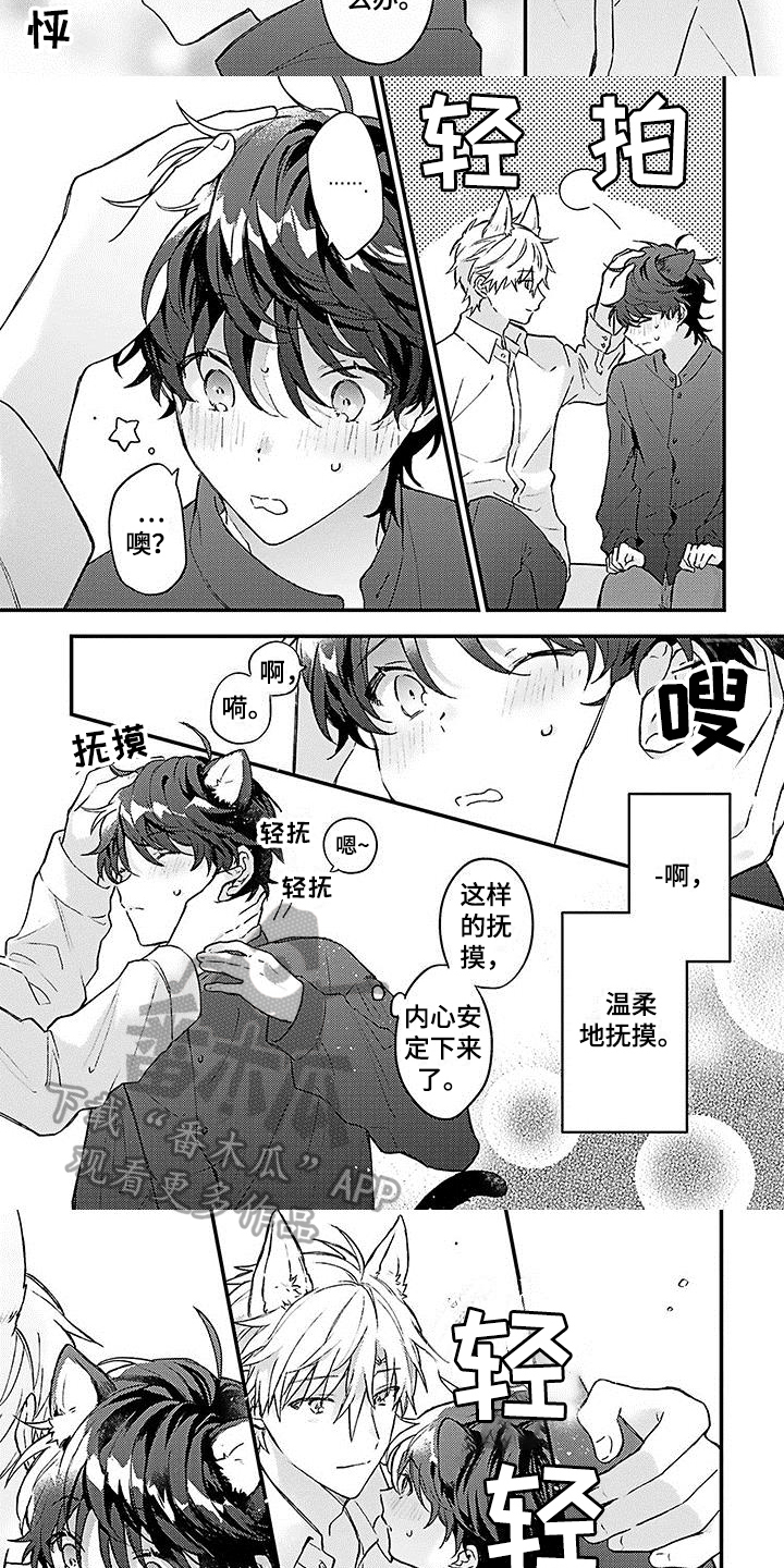 猫咪做梦会梦见我吗漫画,第5章：安定2图