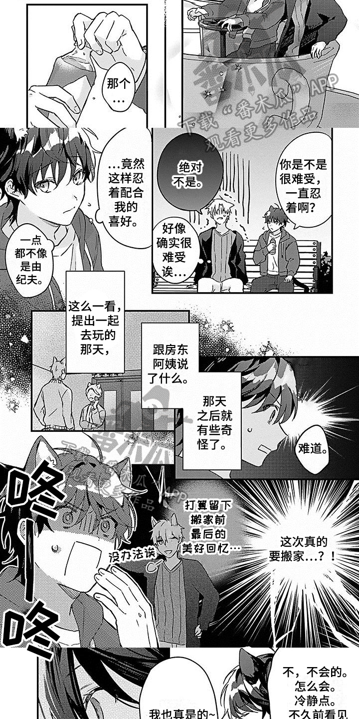 猫猫做梦会梦到主人吗漫画,第21章：【番外】惊喜3图