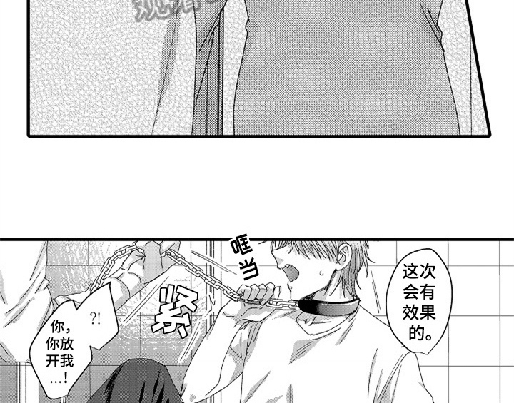 顽皮的小杜鹃歌曲简谱漫画,第13章：试药5图