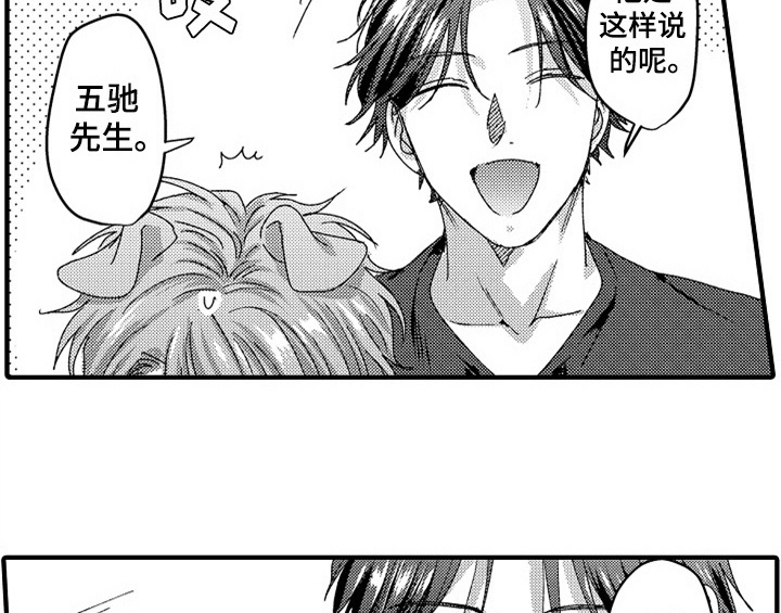 顽皮的小狗四年级漫画,第16章：安排4图