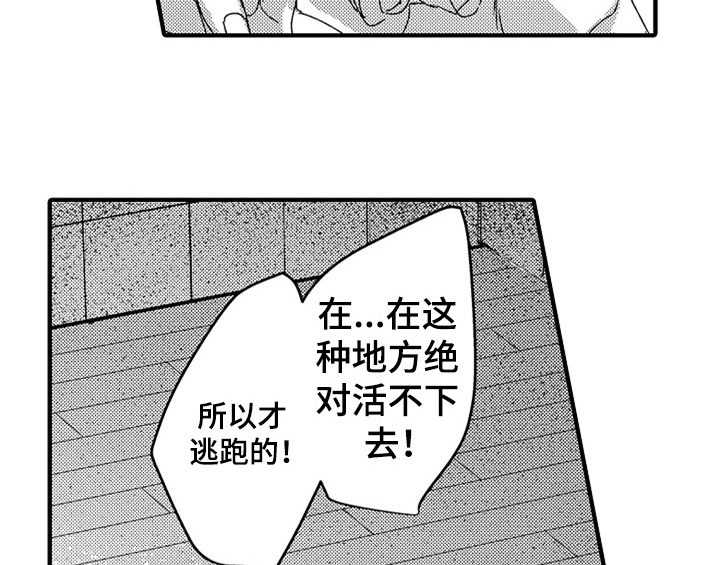 顽皮的小狗四年级漫画,第13章：试药5图