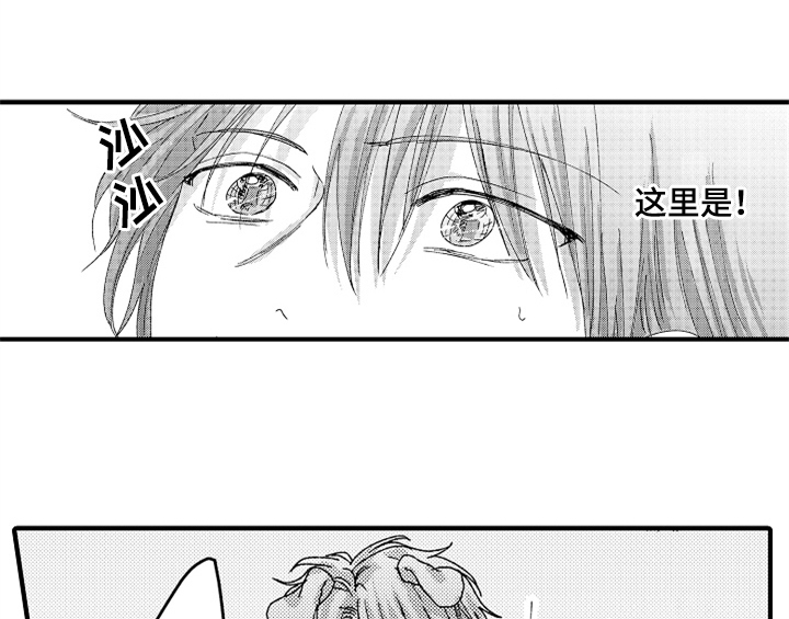 顽皮的小狗漫画,第13章：试药3图