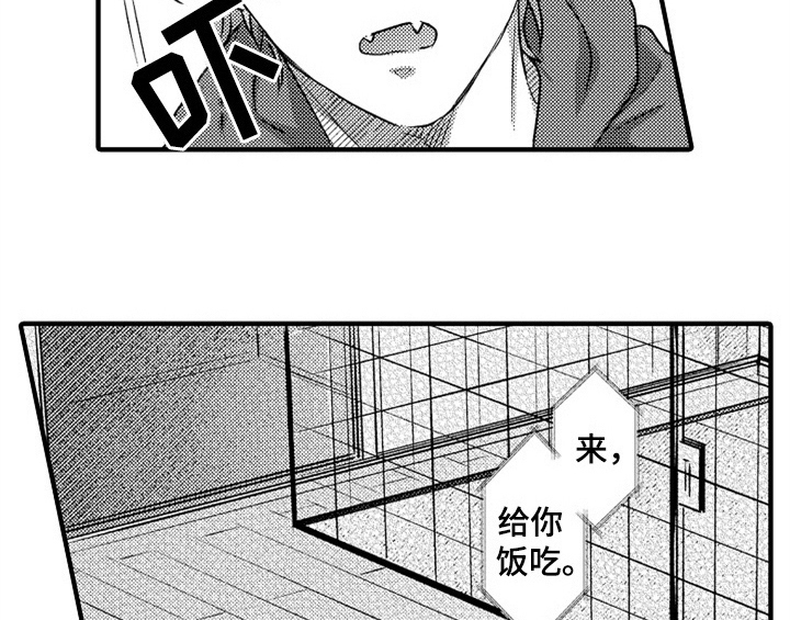 顽皮的小狗四年级漫画,第1章：小偷5图