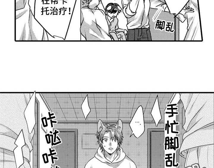 顽皮的小狗四年级漫画,第5章：收留2图