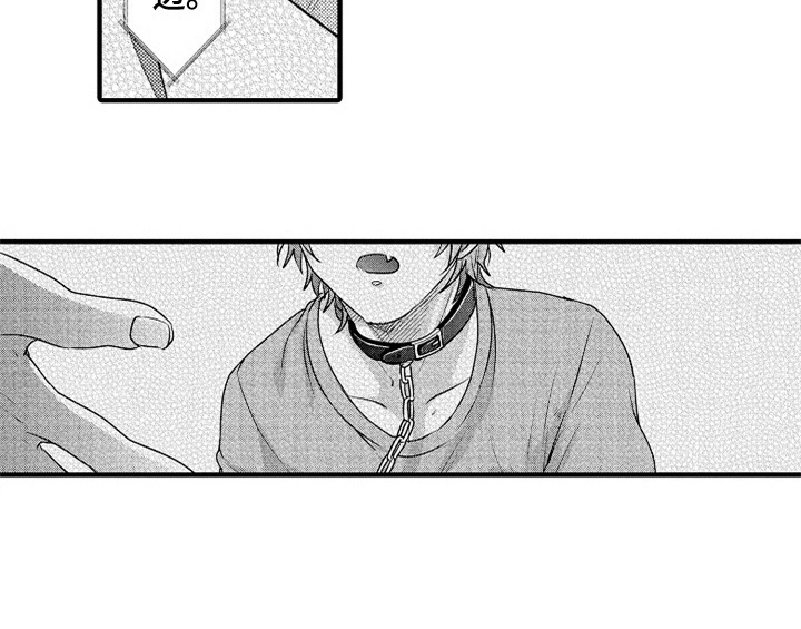 顽皮的小狗漫画,第1章：小偷4图