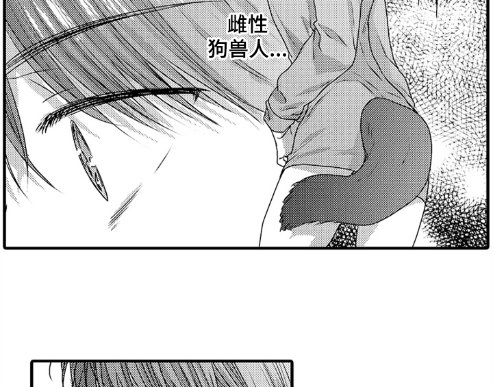 顽皮的小狗漫画,第7章：气味4图