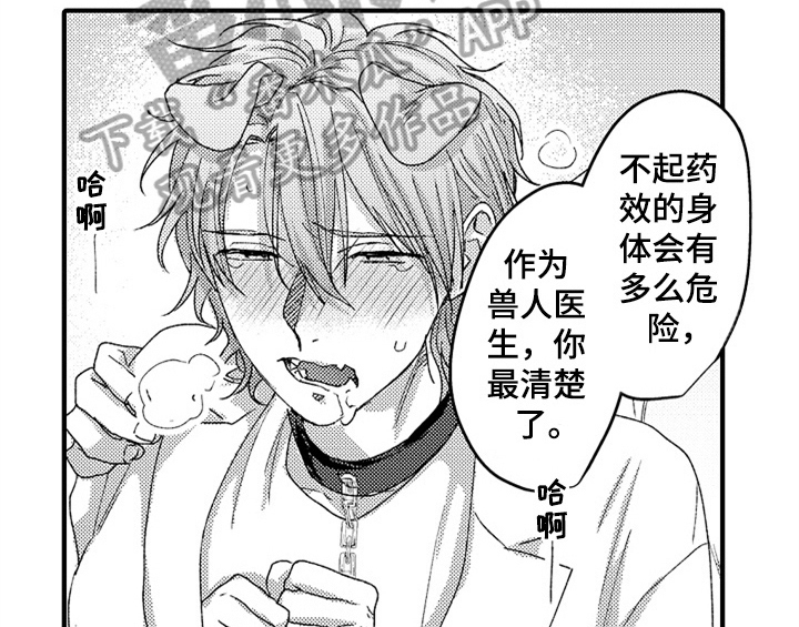 顽皮的小狗四年级漫画,第16章：安排1图