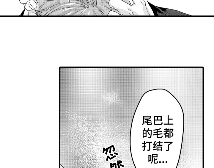 顽皮的小狗漫画,第4章：痕迹5图