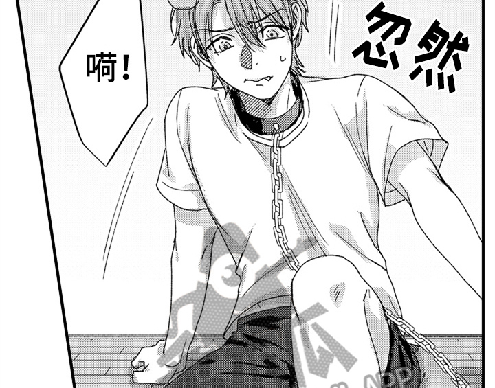 顽皮的小狗漫画,第13章：试药4图