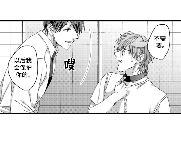 顽皮的小狗四年级漫画,第13章：试药2图