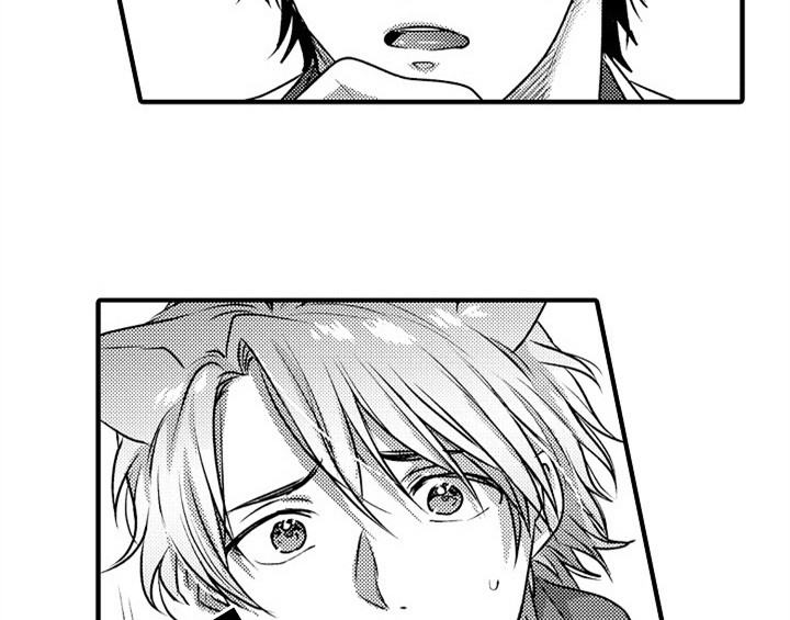 顽皮的小狗四年级漫画,第1章：小偷4图