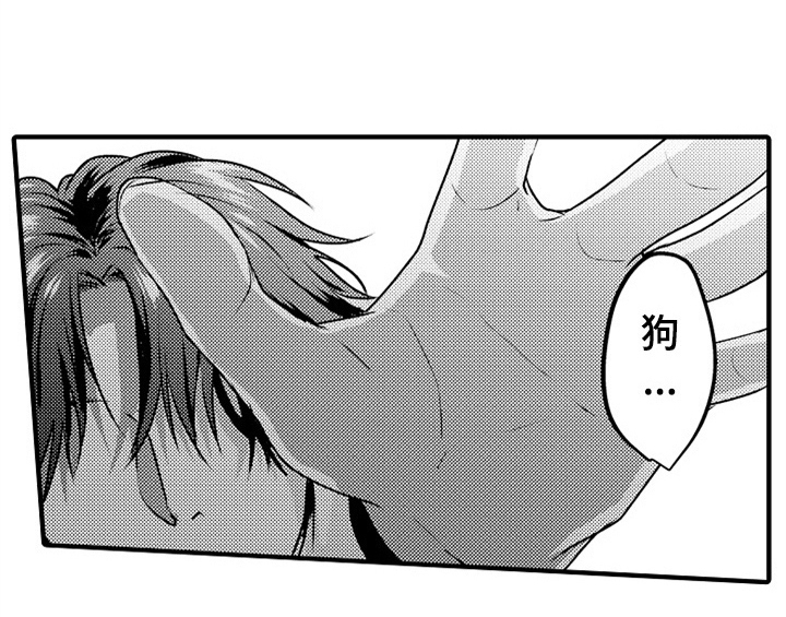 顽皮的小狗漫画,第1章：小偷4图