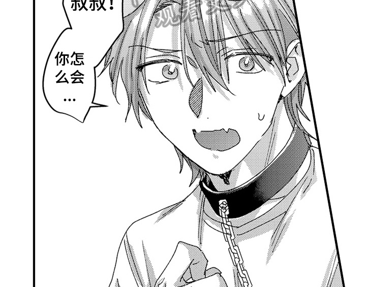 顽皮的小狗四年级漫画,第13章：试药5图