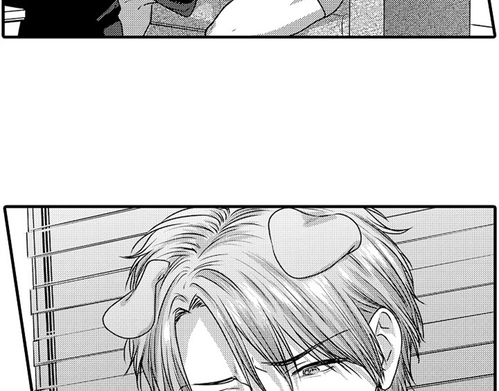 顽皮的小狗四年级漫画,第5章：收留1图