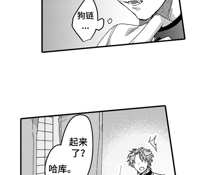 顽皮的小狗四年级漫画,第13章：试药1图