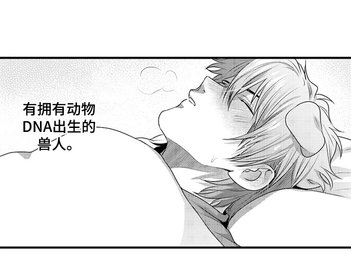 顽皮的小狗漫画,第2章：检查3图