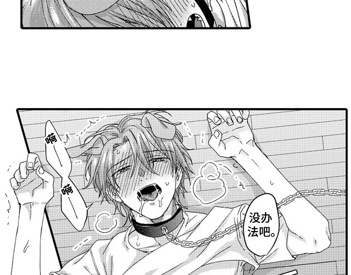 顽皮的小狗作文200字漫画,第14章：决定2图