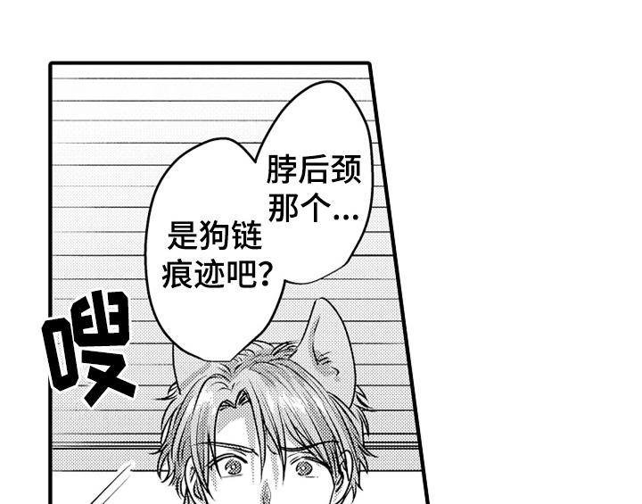 顽皮的小狗漫画,第5章：收留4图