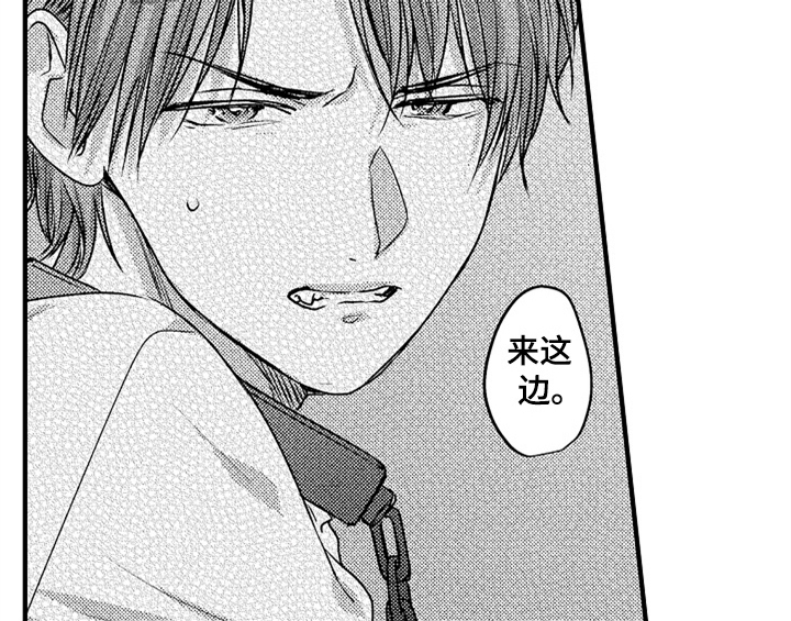 顽皮的小狗四年级漫画,第5章：收留2图