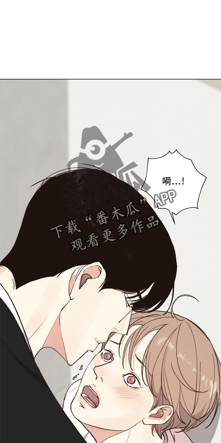 第117章：【番外】突然4