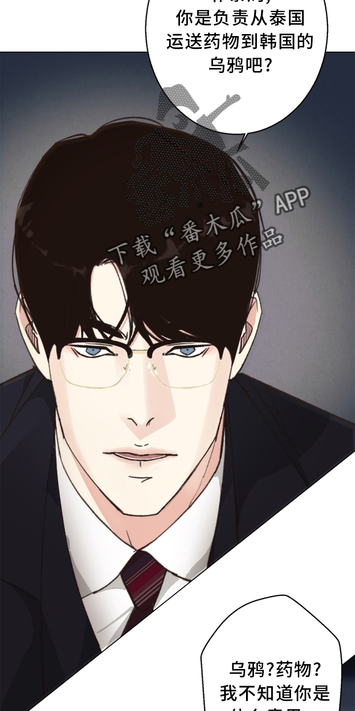 法医疑云漫画资源漫画,第114章：【番外】挑衅1图