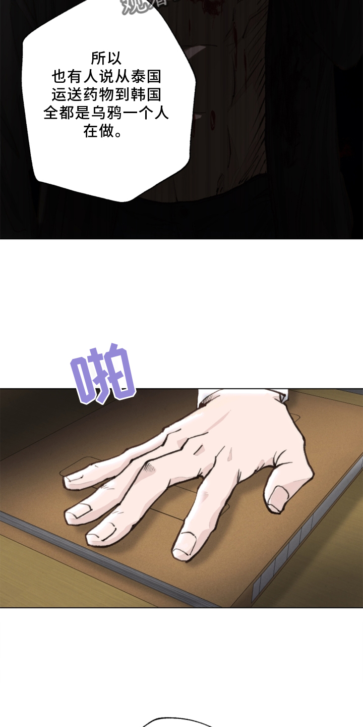 第108章：【番外】乌鸦1