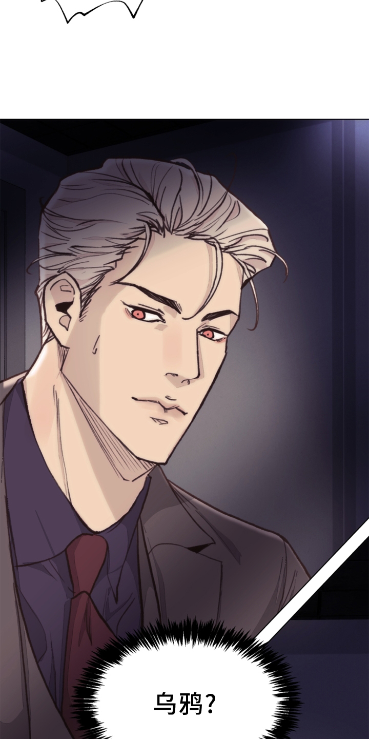 第108章：【番外】乌鸦3