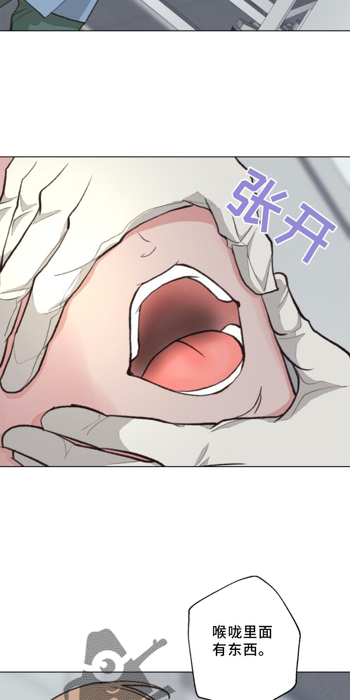 法医医院漫画,第125章：【番外】解刨5图