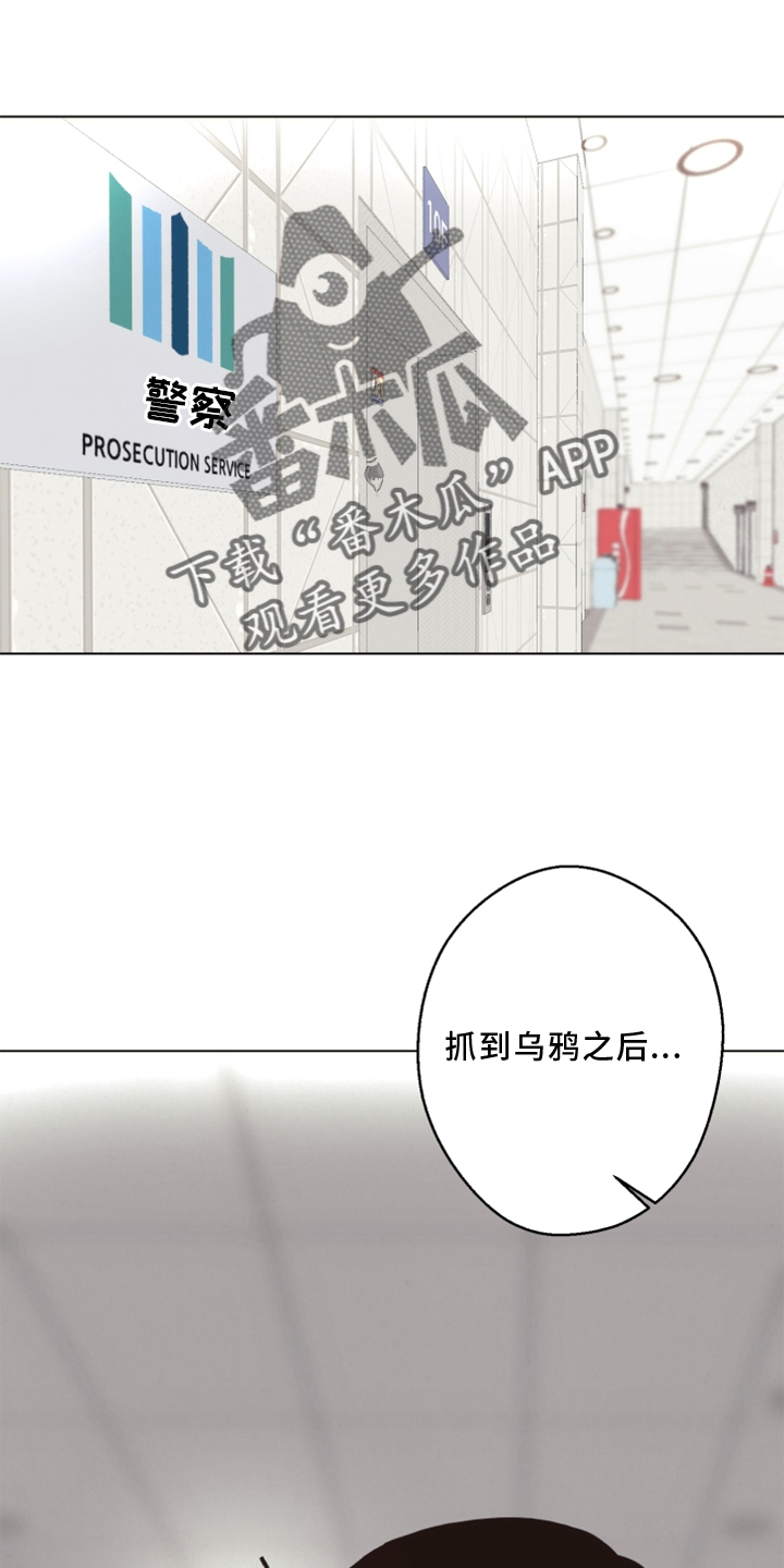 法医医院漫画,第108章：【番外】乌鸦5图