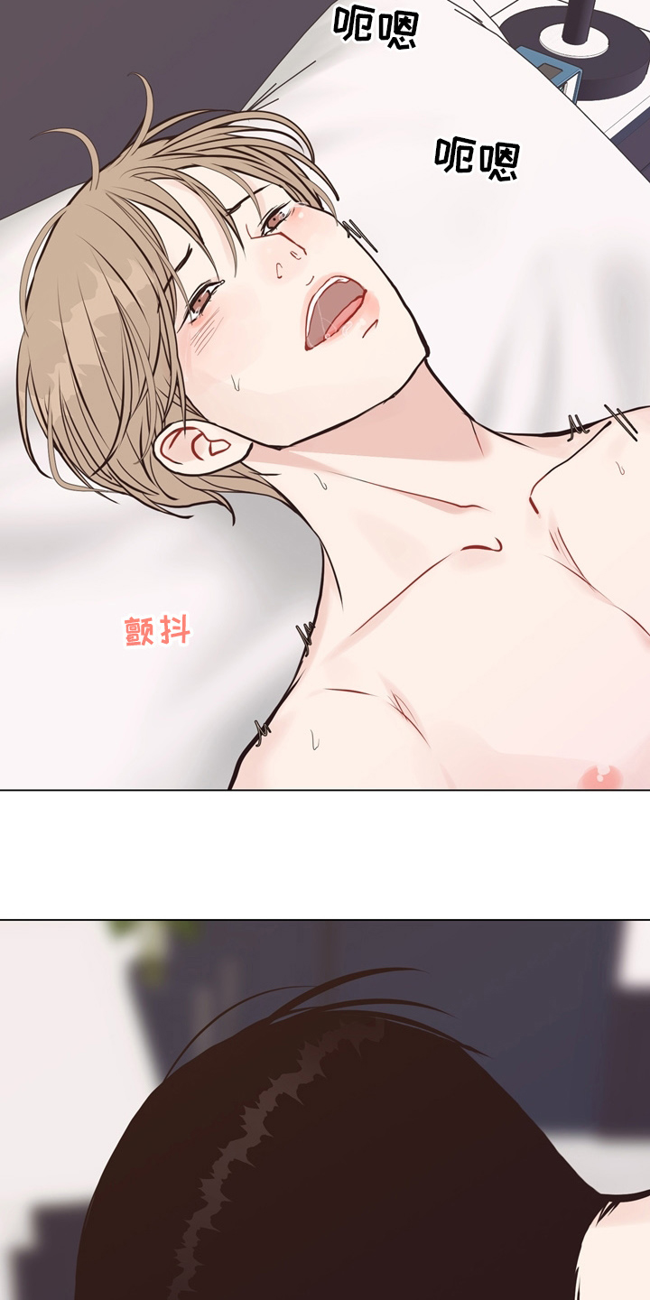 法医疑云漫画,第107章：【第二季完结】一起面对5图