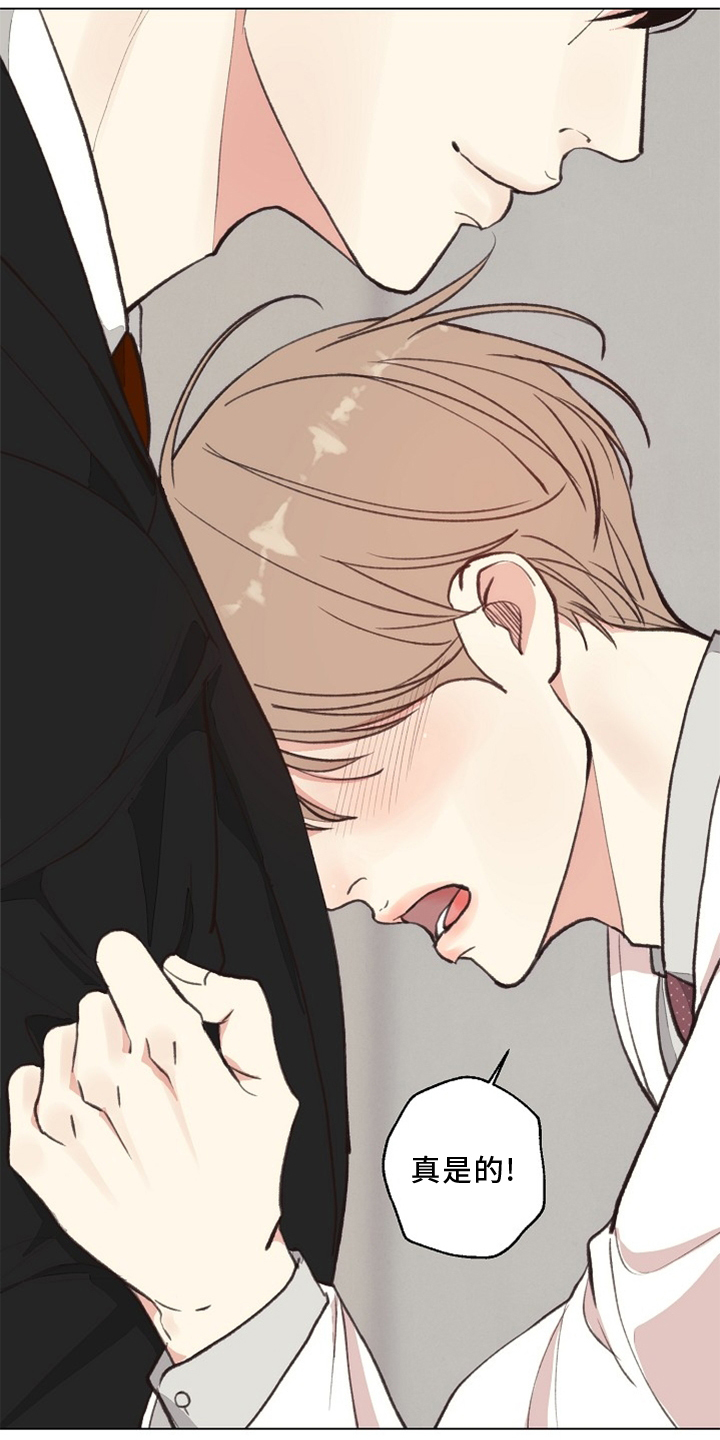 第117章：【番外】突然3